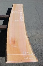 画像1: 肉桂（肉桂）-001 (1)