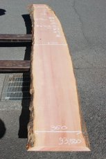 画像1: 肉桂（肉桂）-005 (1)