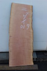 画像2: 肉桂（肉桂）-019 (2)