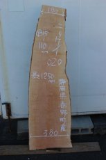 画像1: 肉桂（肉桂）-020 (1)