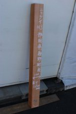 画像1: 肉桂（肉桂）-013 (1)