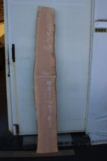 画像2: 肉桂（肉桂）-018 (2)