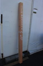 画像1: 肉桂（肉桂）-011 (1)