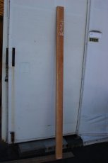 画像2: 肉桂（肉桂）-016 (2)