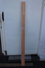 画像2: 肉桂（肉桂）-017 (2)