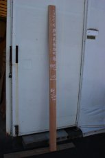 画像1: 肉桂（肉桂）-016 (1)