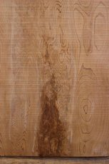 画像4: 屋久杉(ヤクスギ)-001 (4)