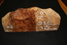 画像1: 屋久杉(ヤクスギ)-002 (1)