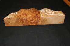 画像4: 屋久杉(ヤクスギ)-002 (4)