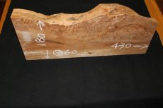 画像2: 屋久杉(ヤクスギ)-005 (2)