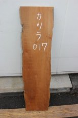 画像2: 桂(カツラ)-017 (2)