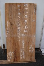 画像1: 屋久杉(ヤクスギ)-001 (1)