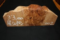 画像2: 屋久杉(ヤクスギ)-002 (2)