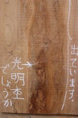 画像2: 屋久杉(ヤクスギ)-001 (2)