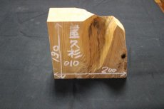 画像1: 屋久杉(ヤクスギ)-010 (1)