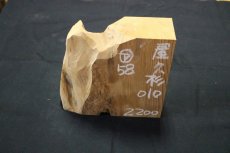 画像2: 屋久杉(ヤクスギ)-010 (2)