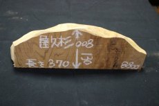 画像1: 屋久杉(ヤクスギ)-008（山脈） (1)