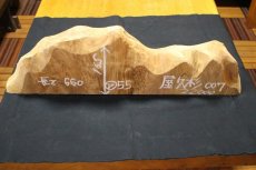 画像1: 屋久杉(ヤクスギ)-007（山脈） (1)