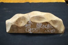 画像2: 屋久杉(ヤクスギ)-008（山脈） (2)