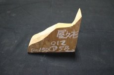 画像1: 屋久杉(ヤクスギ)-012 (1)