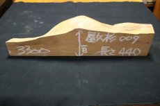 画像2: 屋久杉(ヤクスギ)-009 (2)