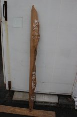 画像1: 屋久杉(ヤクスギ)-006 (1)