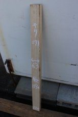 画像1: 桐(キリ)-071 (1)