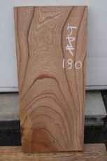 画像2: 欅(ケヤキ)-190 (2)