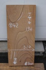 画像1: 欅(ケヤキ)-190 (1)